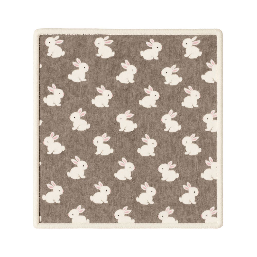 Winter Bunny Baby Blanket